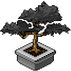 Charcoal Leaf Bonsai