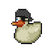 Black Pirate Duck