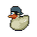 Blue Pirate Duck