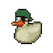 Green Pirate Duck