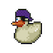 Purple Pirate Duck