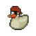 Red Pirate Duck